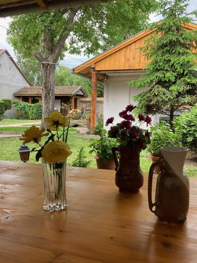Nantucket Guesthouse Vrbas Zewnętrze zdjęcie